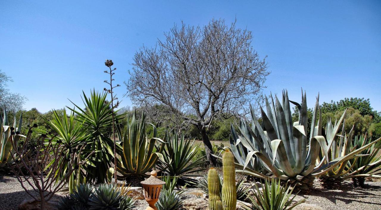 Finca Casa Mas Сантаний Екстериор снимка