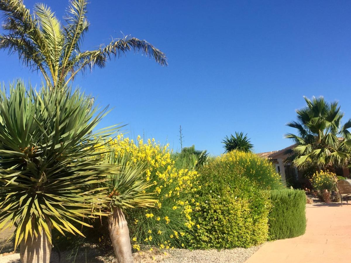 Finca Casa Mas Сантаний Екстериор снимка