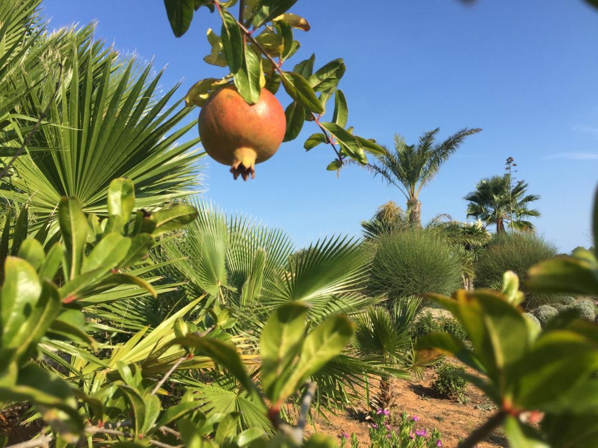 Finca Casa Mas Сантаний Екстериор снимка